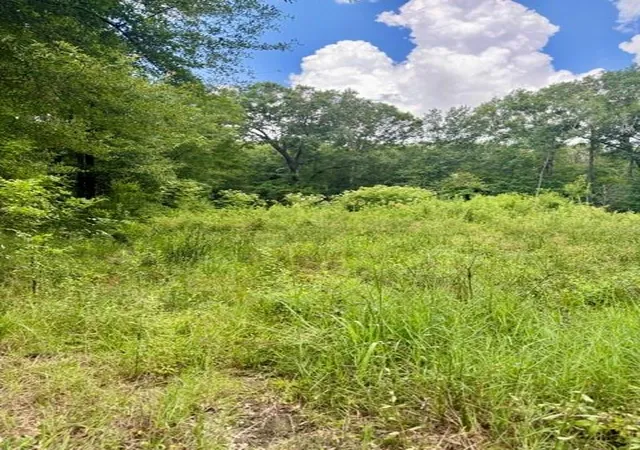 Homes for sale in Vidor, TX | 1000 Butler Rd, Vidor, TX 77662 | MLS# 14629950