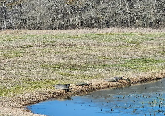 Photo 1 of Land for sale at Tbd Center Dr, Cleveland, TX 77327 | MLS# 47315735 | Listing updated on 2026-08-07