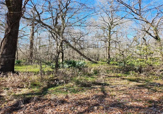Photo 2 of Land for sale at Tbd Center Dr, Cleveland, TX 77327 | MLS# 47315735 | Listing updated on 2026-08-07