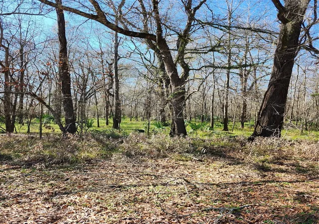 Photo 3 of Land for sale at Tbd Center Dr, Cleveland, TX 77327 | MLS# 47315735 | Listing updated on 2026-08-07