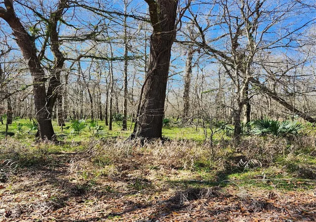 Photo 3 of Land for sale at Tbd Center Dr, Cleveland, TX 77327 | MLS# 47315735 | Listing updated on 2026-08-07