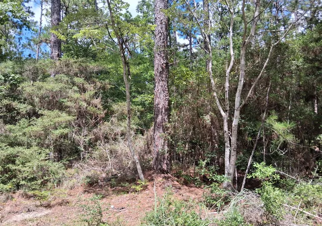 9th image of 0000 Sugarberry Dr, Brookeland, TX 75931 | MLS# 85333319