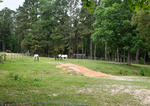 Photo 3 of Land for sale at 101 Pinewood Dr, Shepherd, TX 77371 | MLS# 20184540 | Listing updated on 2026-05-09
