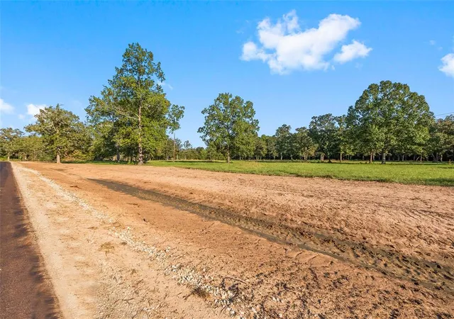 Photo 3 of Land for sale at 6142 Alans Memorial Ln, New Waverly, TX 77358 | MLS# 81499365 | Listing updated on 2025-12-30