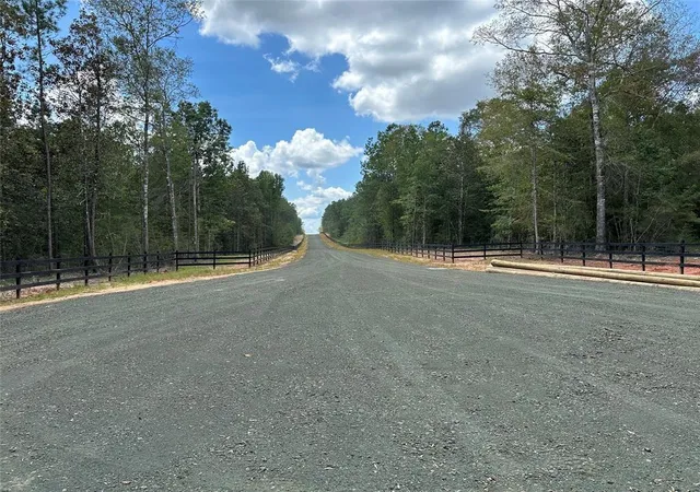 2nd image of Tract 7b Timberland Branch Dr, Woodville, TX 75979 | MLS# 54170829