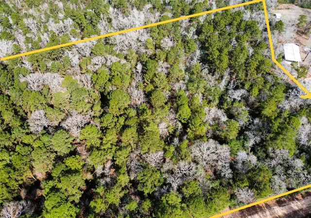 Photo 3 of Land for sale at 0 Old Little Rd, Conroe, TX 77303 | MLS# 67200773 | Listing updated on 2026-06-28
