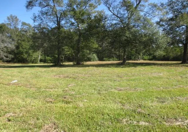 Photo 3 of Land for sale at 13596 Rogers Road, Willis, TX 77378 | MLS# 55297964 | Listing updated on 2025-10-30