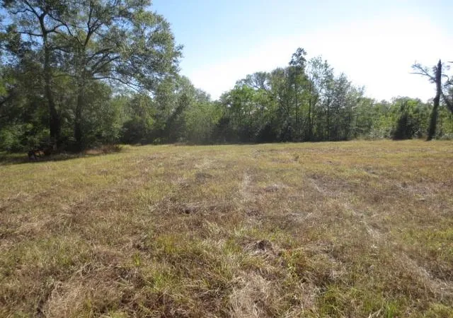 Photo 4 of Land for sale at 13596 Rogers Road, Willis, TX 77378 | MLS# 55297964 | Listing updated on 2025-10-30