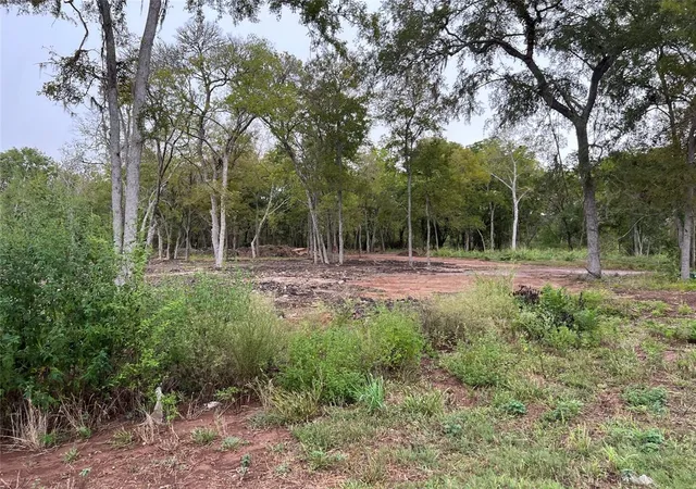 Photo 3 of Land for sale at 0 Knights Rd, Fresno, TX 77545 | MLS# 17587135 | Listing updated on 2026-07-26