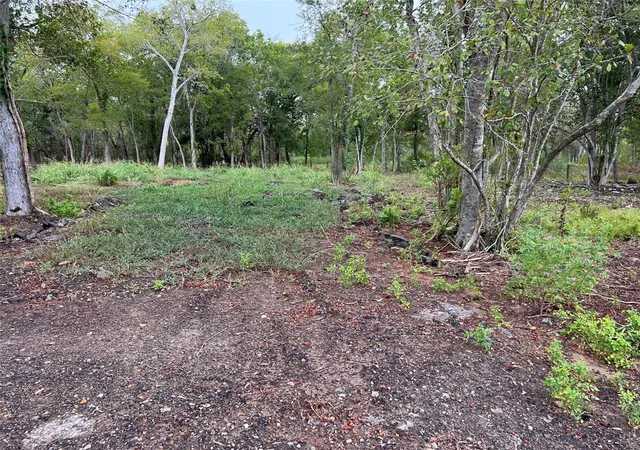 Photo 4 of Land for sale at 0 Knights Rd, Fresno, TX 77545 | MLS# 17587135 | Listing updated on 2026-07-26