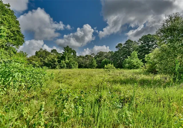 Photo 3 of Land for sale at 3959 E Hwy 105 Hwy, Navasota, TX 77868 | MLS# 19421235 | Listing updated on 2026-02-05