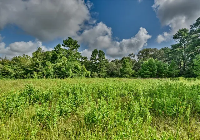 Photo 4 of Land for sale at 3959 E Hwy 105 Hwy, Navasota, TX 77868 | MLS# 19421235 | Listing updated on 2026-02-05