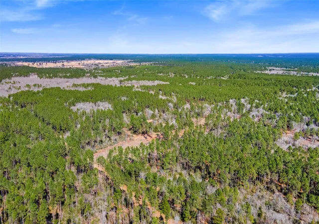 3rd image of 00 Bo Brown, Trinity, TX 75862 | MLS# 15526087