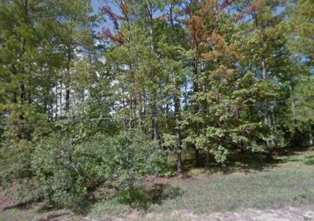 Photo 1 of Land for sale at 340 Oak Tree Dr, Point Blank, TX 77364 | MLS# 84933841 | Listing updated on 2026-08-28