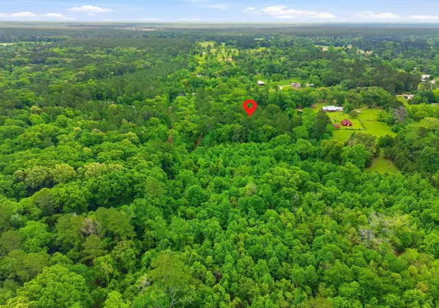 Homes for sale in New Waverly, TX | 151 Parker Rd, New Waverly, TX 77358 | MLS# 8765075