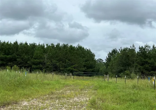 Photo 2 of Land for sale at 3 County Rd 2235, Cleveland, TX 77327 | MLS# 6294356 | Listing updated on 2026-01-14