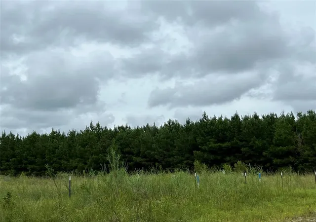 Photo 2 of Land for sale at 3 County Rd 2235, Cleveland, TX 77327 | MLS# 6294356 | Listing updated on 2026-01-14