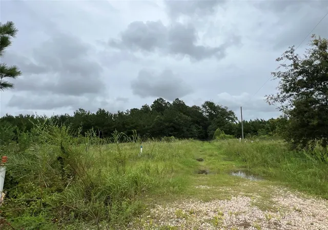 Photo 4 of Land for sale at 3 County Rd 2235, Cleveland, TX 77327 | MLS# 6294356 | Listing updated on 2026-01-14
