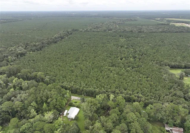 Photo 7 of Land for sale at 3 County Rd 2235, Cleveland, TX 77327 | MLS# 6294356 | Listing updated on 2026-01-14