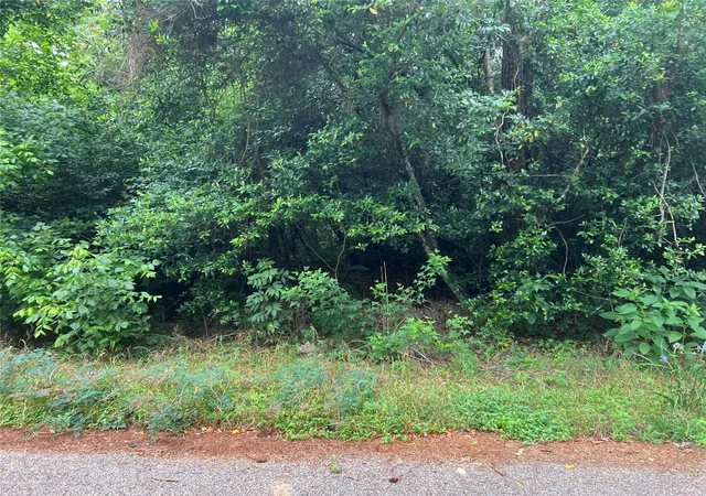 Photo 3 of Land for sale at 0 Rollingwood Loop, Conroe, TX 77303 | MLS# 23396895 | Listing updated on 2026-05-05