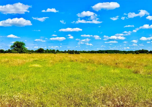 11th image of Tbd Cooper Settlement Road, Crockett, TX 75835 | MLS# 66789663