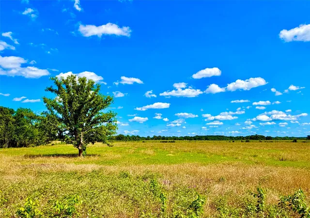 2nd image of Tbd Cooper Settlement Road, Crockett, TX 75835 | MLS# 66789663