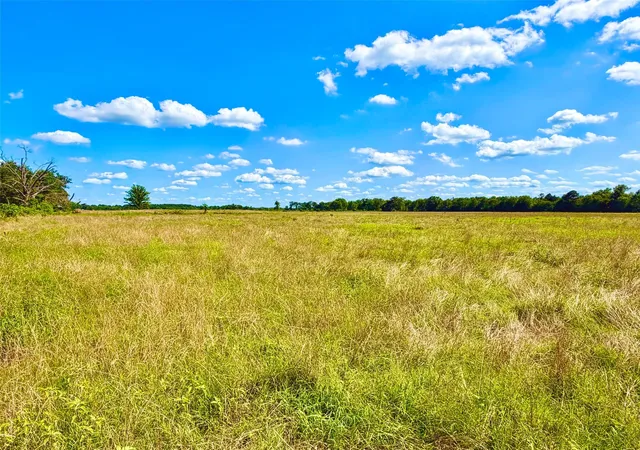 3rd image of Tbd Cooper Settlement Road, Crockett, TX 75835 | MLS# 66789663