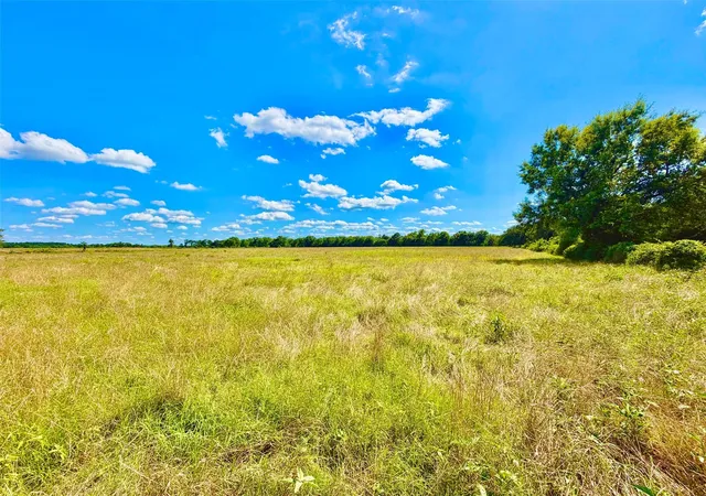 4th image of Tbd Cooper Settlement Road, Crockett, TX 75835 | MLS# 66789663