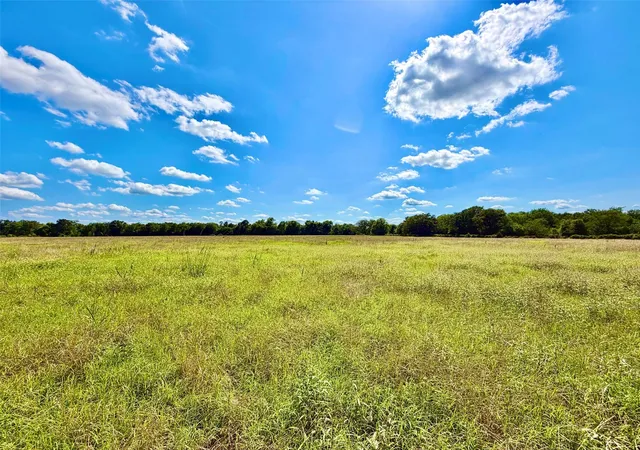 5th image of Tbd Cooper Settlement Road, Crockett, TX 75835 | MLS# 66789663