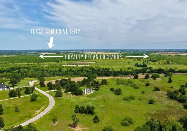 9th image of Tbd Brazos Court   7 Acres, Caldwell, TX 77836 | MLS# 52950643