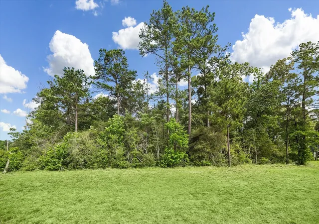Photo 4 of Land for sale at 8608 Trinity Pines Ct, Montgomery, TX 77316 | MLS# 98921241 | Listing updated on 2026-06-12