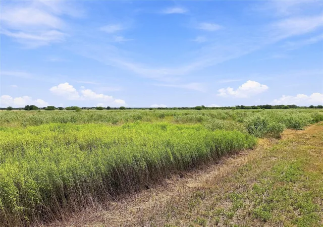 Photo 4 of Land for sale at 4688 Deadwood Ln, Bryan, TX 77808 | MLS# 8669138 | Listing updated on 2026-08-27