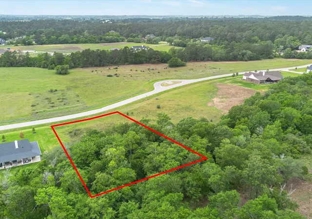 Photo 2 of Land for sale at 9601 Cedar Crk Ln, Plantersville, TX 77363 | MLS# 59001760 | Listing updated on 2026-08-01