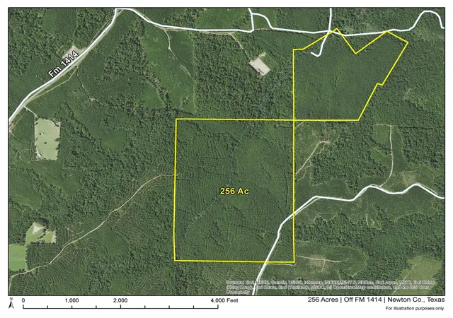Homes for sale in Burkeville, TX | 2 Off Fm 1414, Burkeville, TX 75966 | MLS# 25948503