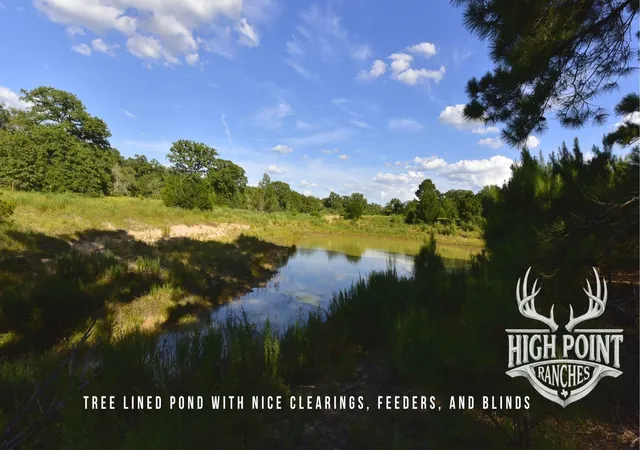 Photo 2 of Land for sale at Tbd Ranch Rd Off Cr 405 60 Acres, Lexington, TX 78947 | MLS# 7564890 | Listing updated on 2026-07-23