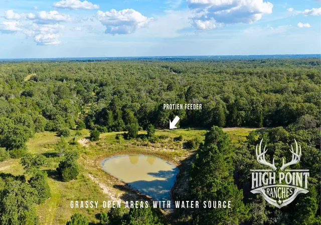 Photo 3 of Land for sale at Tbd Ranch Rd Off Cr 405 60 Acres, Lexington, TX 78947 | MLS# 7564890 | Listing updated on 2026-07-23