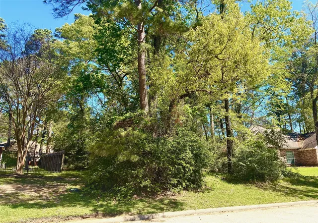 Photo 1 of Land for sale at 3015 Chaucer Dr, Montgomery, TX 77356 | MLS# 77739653 | Listing updated on 2026-04-27