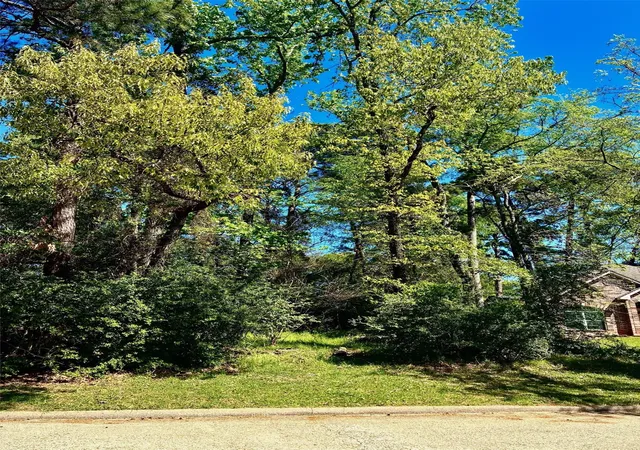 Photo 2 of Land for sale at 3015 Chaucer Dr, Montgomery, TX 77356 | MLS# 77739653 | Listing updated on 2026-04-27
