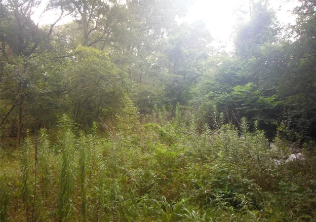 Photo 3 of Land for sale at 12397 E Highway 105, Conroe, TX 77306 | MLS# 62769767 | Listing updated on 2026-07-16