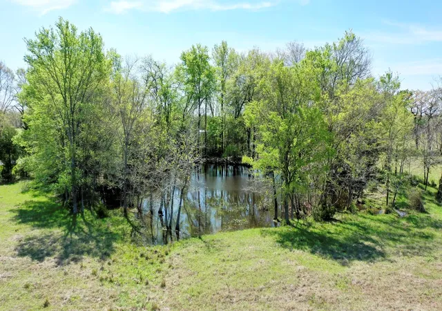 Homes for sale in Madisonville, TX | 6 Ac Fm 3091, Madisonville, TX 77864 | MLS# 85497675