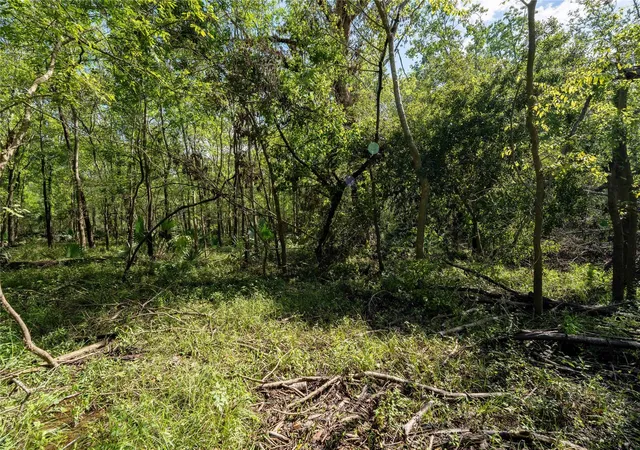 Photo 3 of Land for sale at 11623 & 11625 Cool Shadows Ln, Houston, TX 77044 | MLS# 13772652 | Listing updated on 2026-07-14
