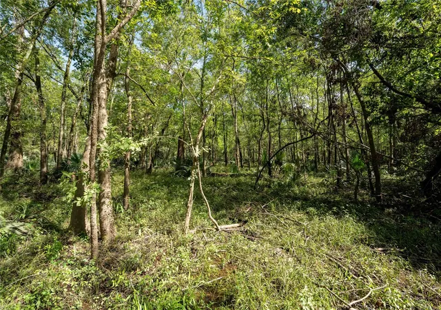 Photo 4 of Land for sale at 11623 & 11625 Cool Shadows Ln, Houston, TX 77044 | MLS# 13772652 | Listing updated on 2026-07-14