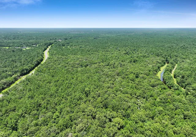 Homes for sale in Anahuac, TX | Tbd Hwy 61, Anahuac, TX 77514 | MLS# 92138004
