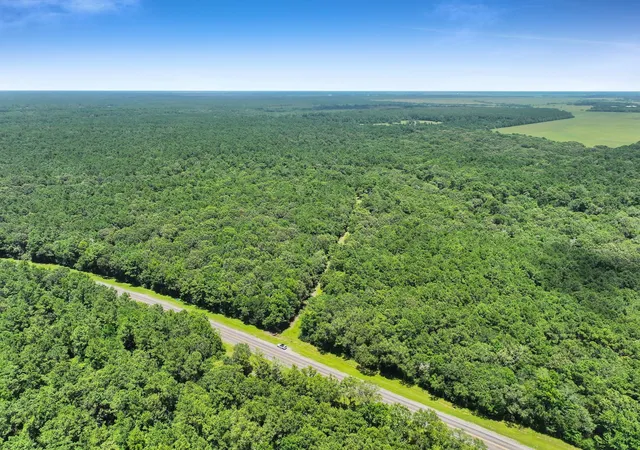 Homes for sale in Anahuac, TX | Tbd Hwy 61, Anahuac, TX 77514 | MLS# 92138004