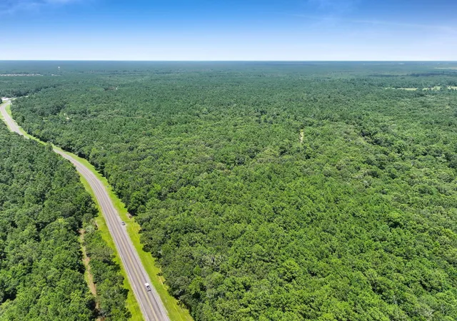 Homes for sale in Anahuac, TX | Tbd Hwy 61, Anahuac, TX 77514 | MLS# 92138004