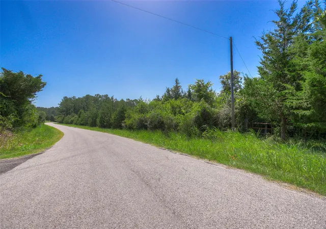 21st image of Tbd Hilltop Ln, Huntsville, TX 77320 | MLS# 81632149