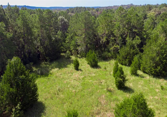 2nd image of Tbd Hilltop Ln, Huntsville, TX 77320 | MLS# 81632149