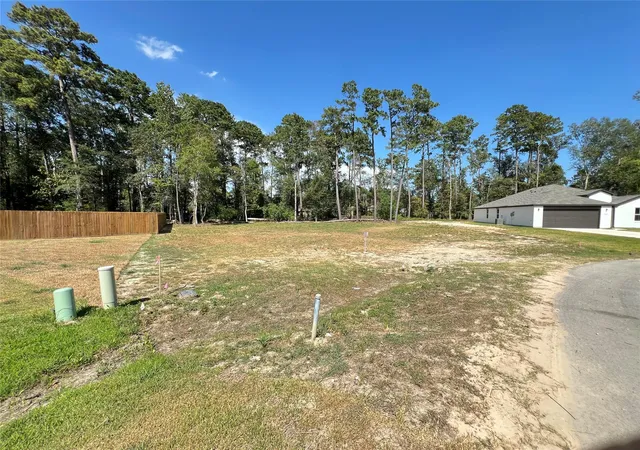 2nd image of 818 Scribe St, New Caney, TX 77357 | MLS# 63060383