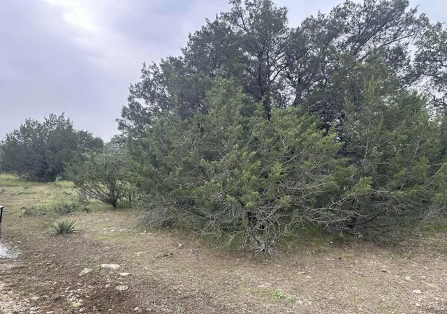 1st image of 0 County Road 611, Brownwood, TX 76801 | MLS# 41931775
