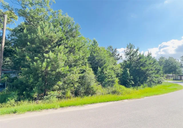 Photo 1 of Land for sale at 971 County Rd 3415, Cleveland, TX 77327 | MLS# 83121839 | Listing updated on 2026-06-12